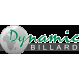 Dynamic Billiards
